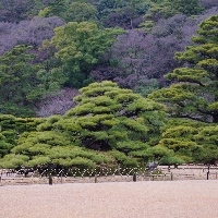 shikoku_0038.jpg