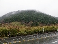 hakone1003_148.jpg