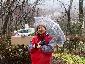 hakone1003_165.jpg