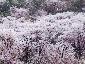 hakone1003_609.jpg