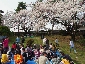 2010317sakura0934.jpg