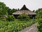 201005higaeri148.jpg