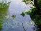 201005higaeri275.jpg