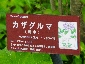 201006hakone_0354.jpg