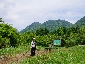 201006hakone_0808.jpg