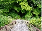 201006hakone_0946.jpg