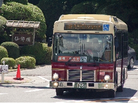 201008hakone0056.jpg