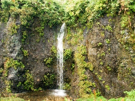 201008hokkaido_2413.jpg