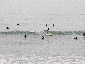 201008hokkaido_2424.jpg