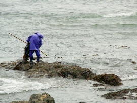 201008hokkaido_2486.jpg