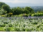 201008hokkaido_2769.jpg