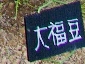 201008hokkaido_2792.jpg