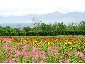 201008hokkaido_3175.jpg