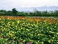 201008hokkaido_3176.jpg