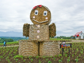 201008hokkaido_3228.jpg