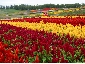 201008hokkaido_3256.jpg