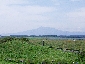 201008hokkaido_0395.jpg