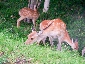 201008hokkaido_1130.jpg