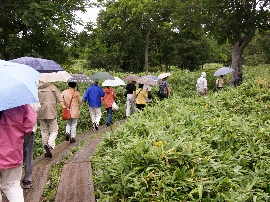 201008hokkaido_1196.jpg