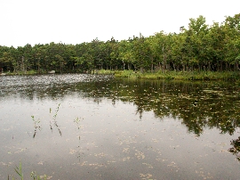 201008hokkaido_1207.jpg