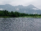 201008hokkaido_1222.jpg