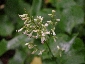 201008hokkaido_1267.jpg