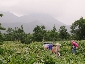 201008hokkaido_1283.jpg