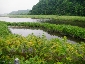 201008hokkaido_2041.jpg