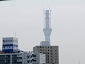 2010fukushima023.jpg