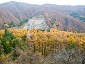 2010fukushima384.jpg