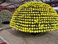 2010fukushima482.jpg