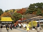 2010fukushima595.jpg