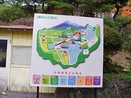 2010fukushima628.jpg