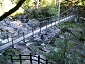 yakushima201012_0558.jpg