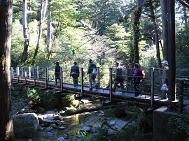 yakushima201012_0692.jpg