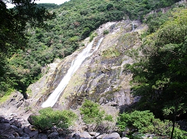 yakushima201012_1009.jpg