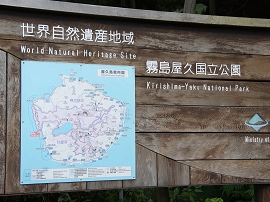 yakushima201012_1086.jpg