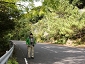 yakushima201012_1091.jpg