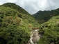 yakushima201012_1095.jpg