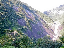 yakushima201012_1178.jpg