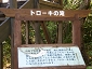 yakushima201012_1282.jpg