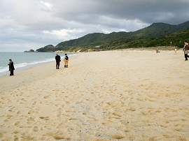 yakushima201012_1458.jpg