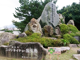 yakushima201012_1673.jpg