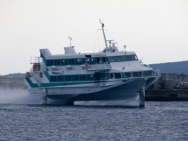 yakushima201012_1710.jpg