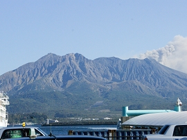 yakushima201012_1777.jpg