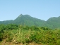 yakushima201012_0334.jpg