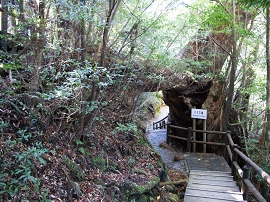 yakushima201012_0454.jpg