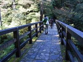 yakushima201012_0472.jpg