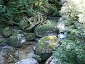 yakushima201012_0480.jpg