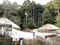 hakone1101_037_15 0919.jpg